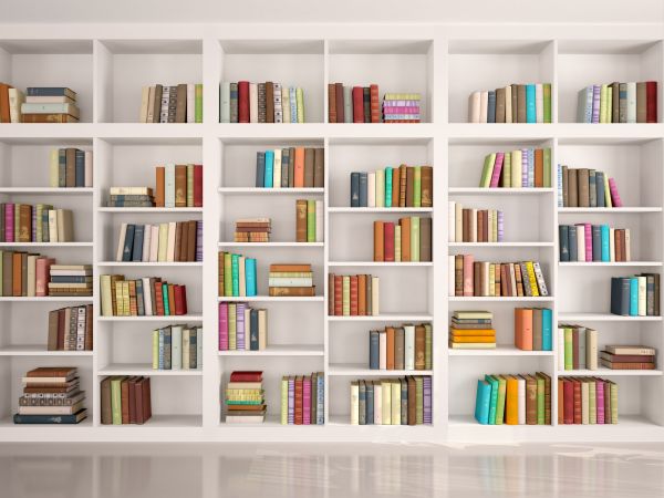 Bookshelf Assembly in Santa Cruz